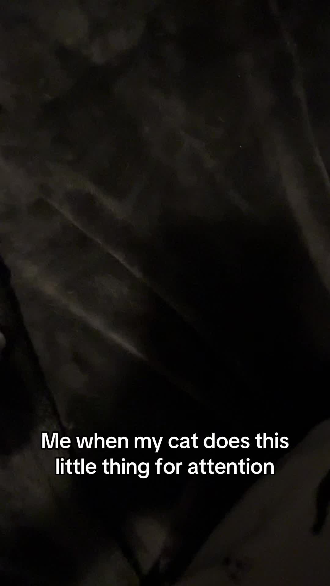@🖤🌖🦇𝑀𝒶𝓀🦇🌖🖤