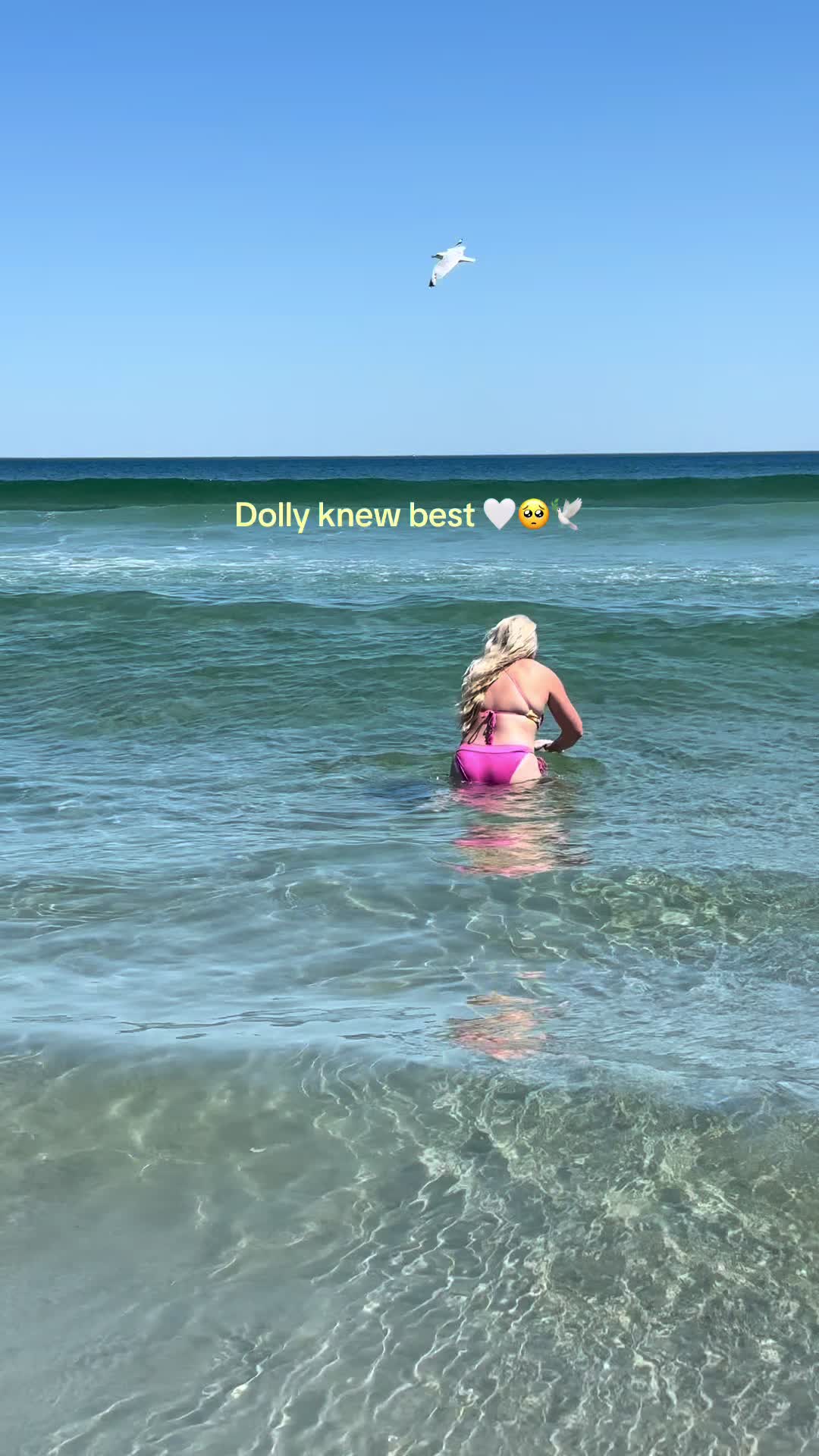 @Jen 🌻🌙🌊
