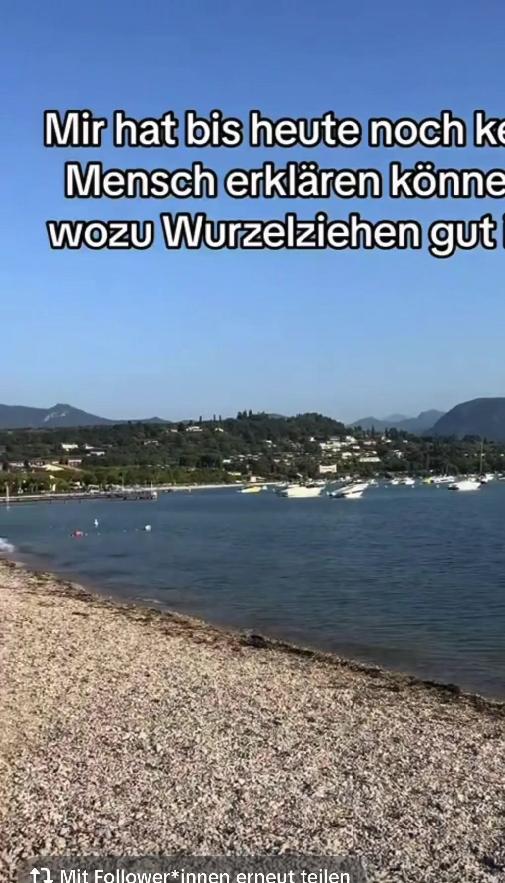 @ragus_de