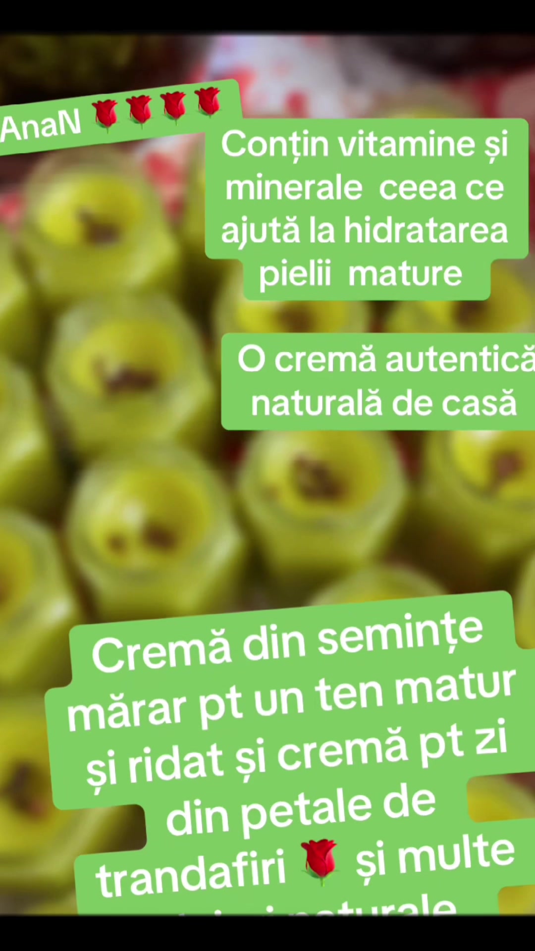 @Ana-N.