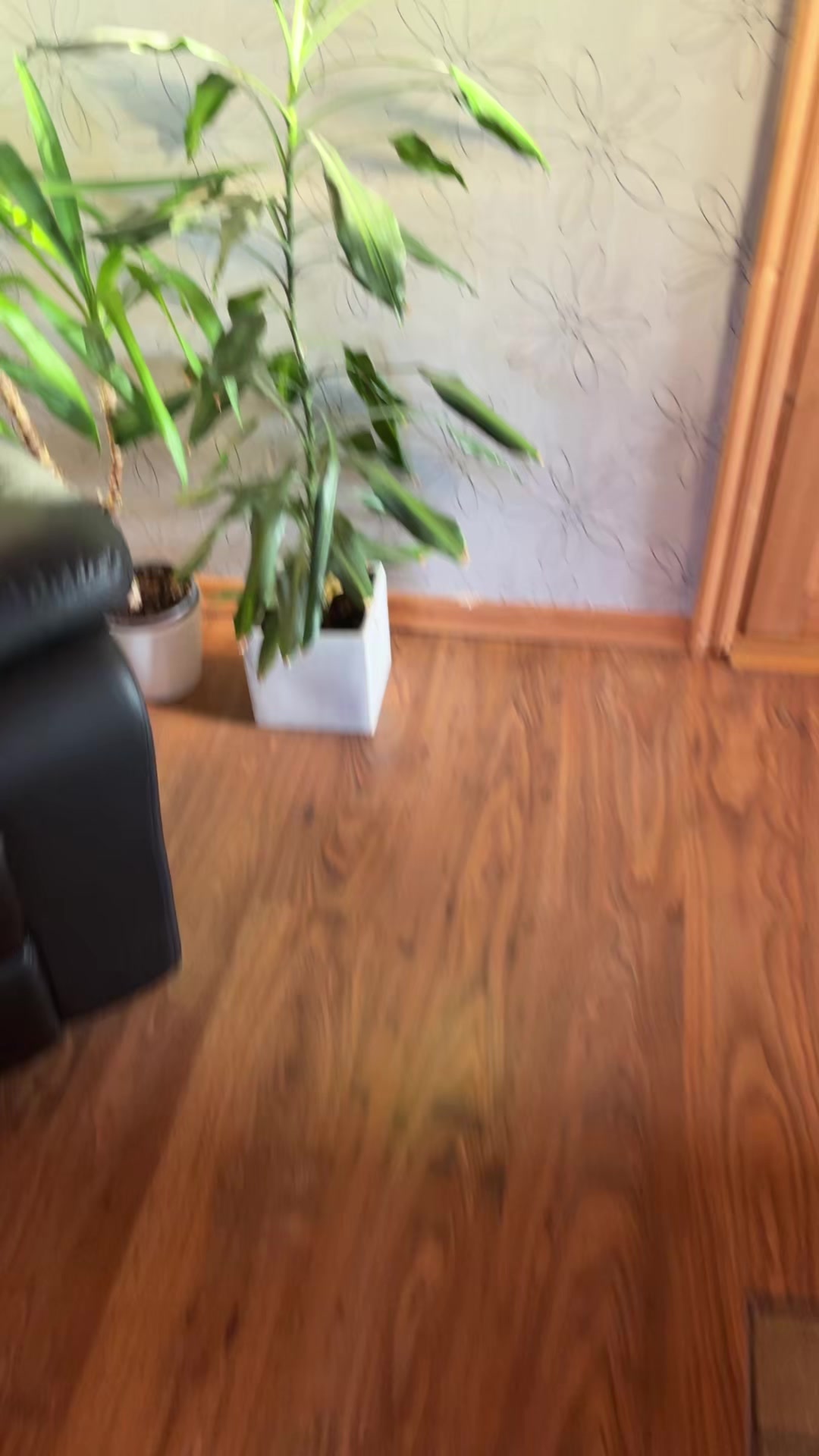 @shrumzie