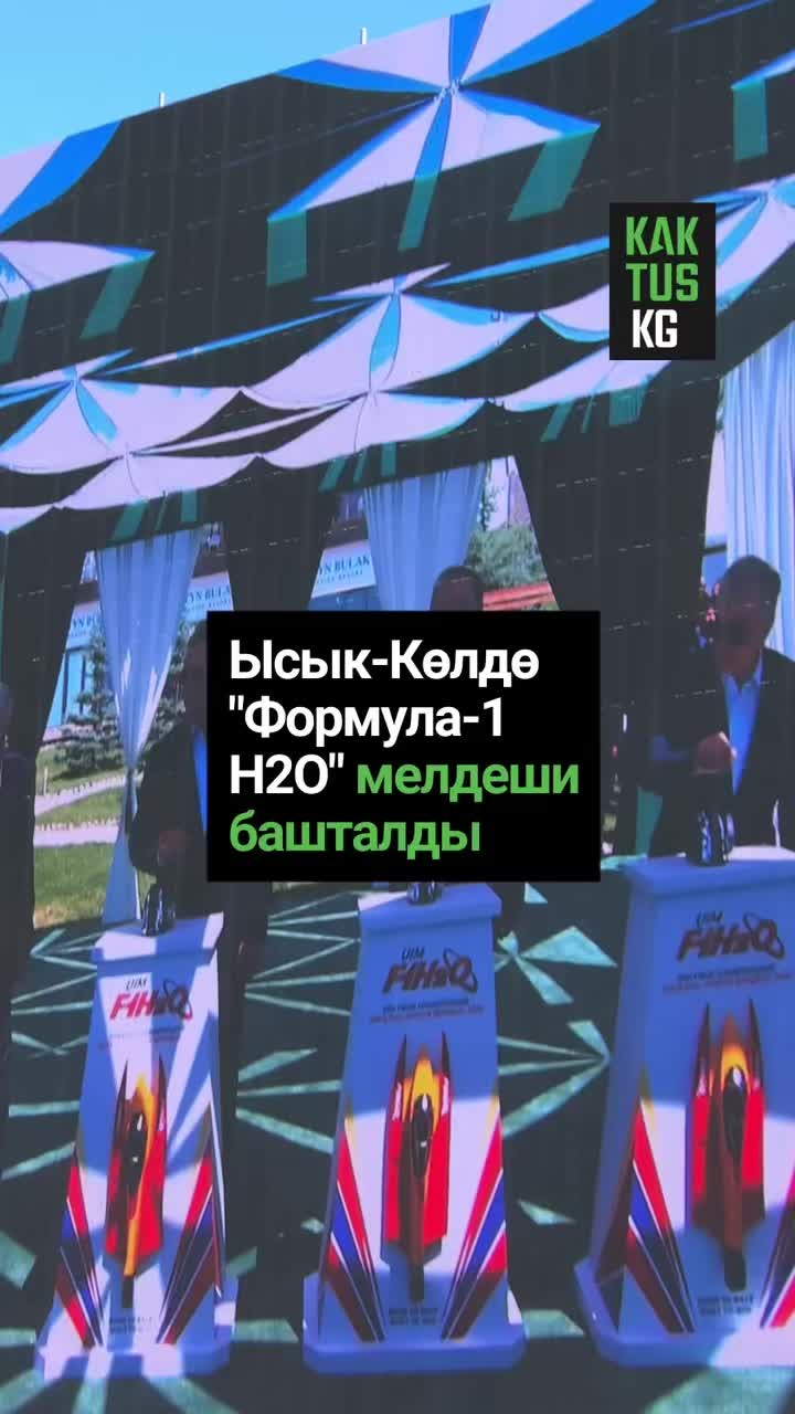 @Kaktus KG