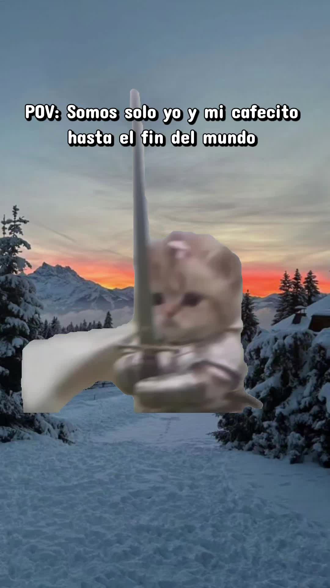 @EliRetsuko