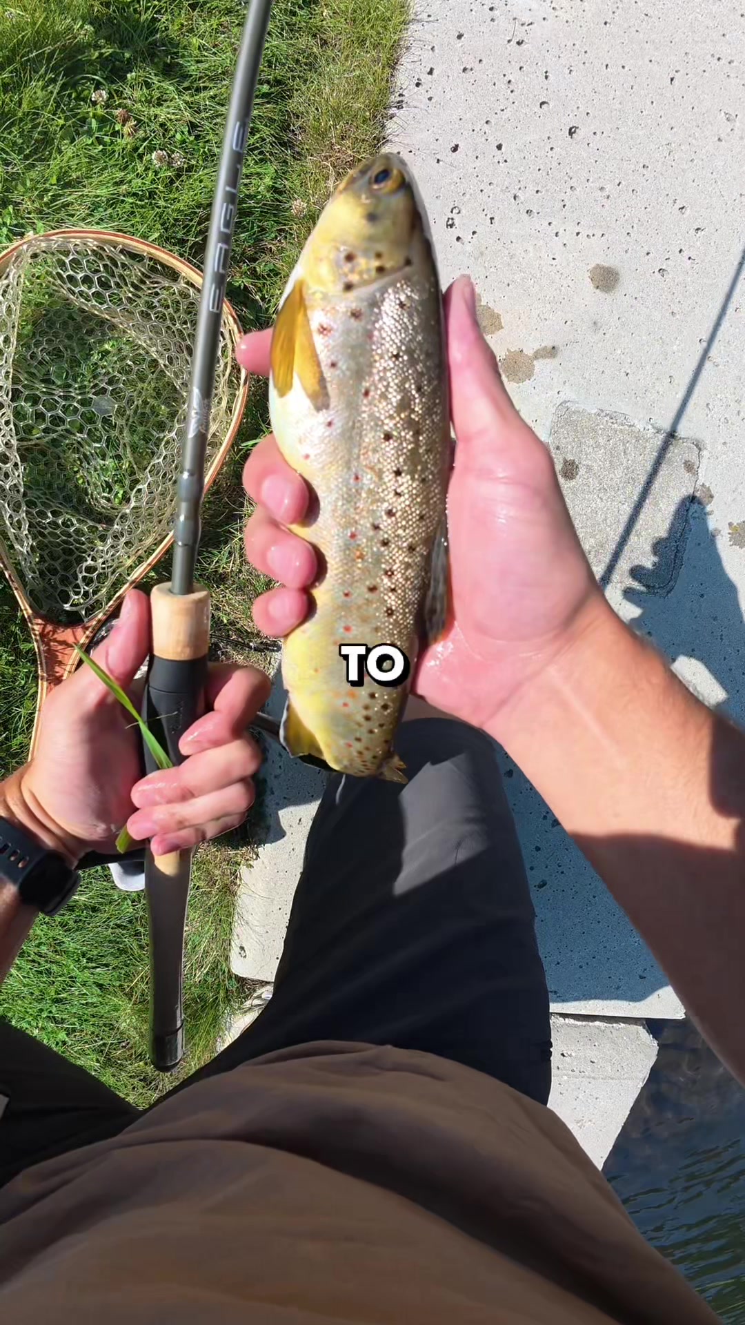 @JlangFishing