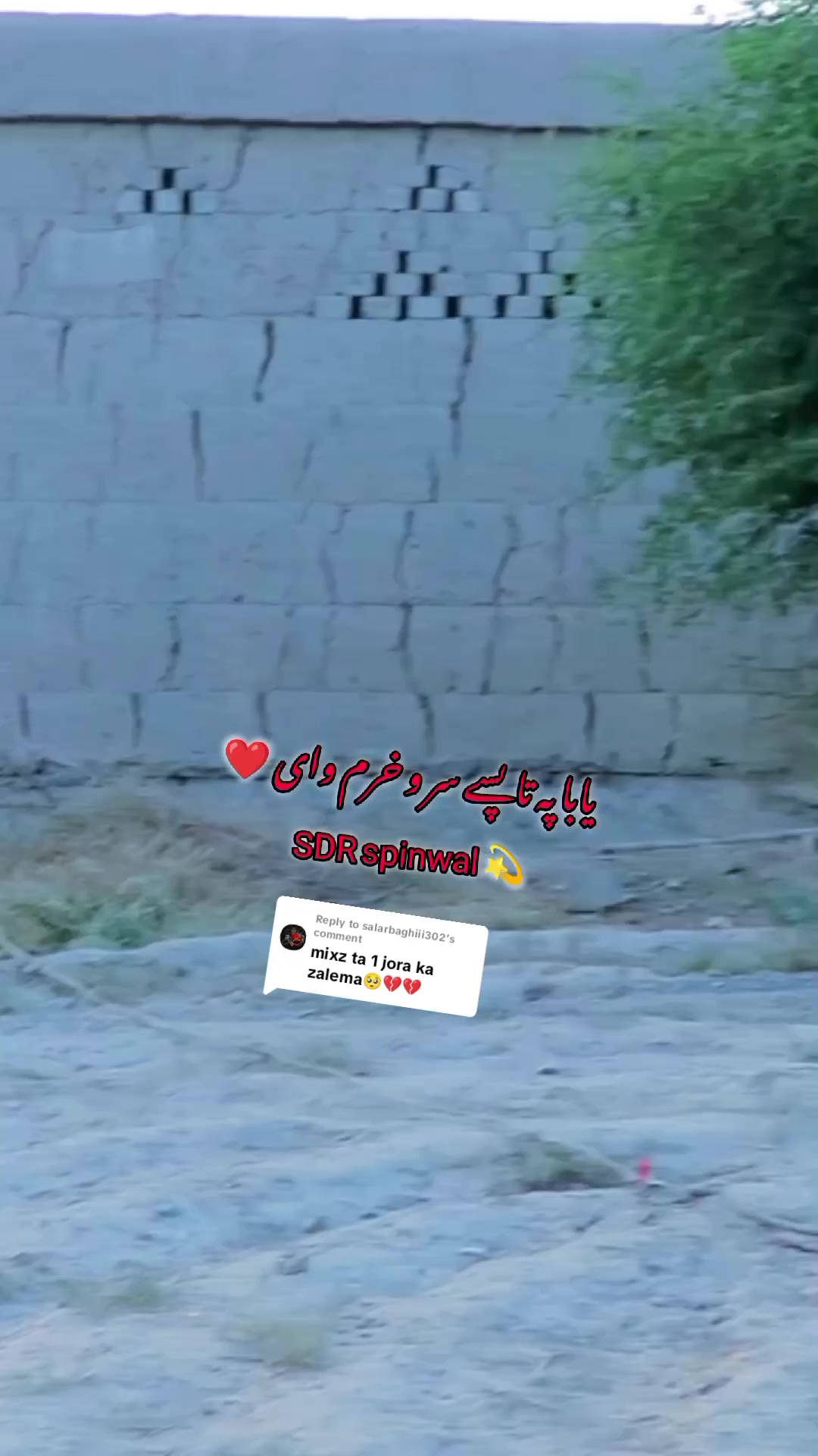 @༼ ❌↗ 𝙎𝘿𝙍.spinwal ↖ ༽❌