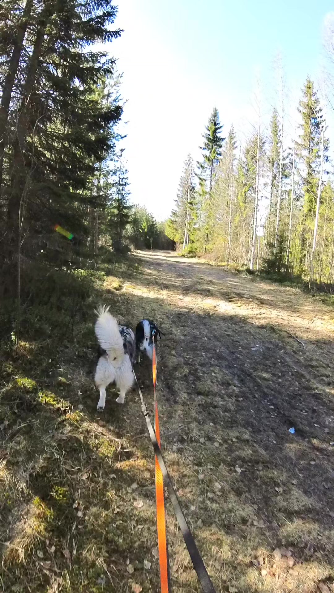 @PawPrintLifestyle 🐾🇫🇮