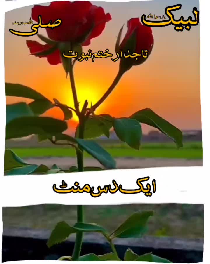 @Uzair edits15