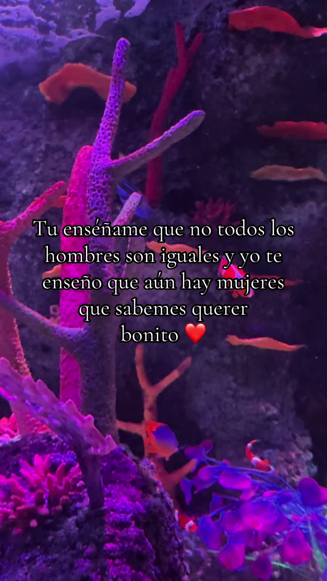 @gali.dj