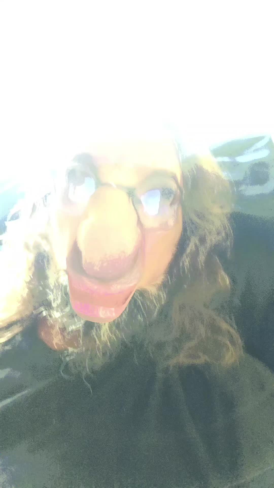 @rockandrollcowboy74