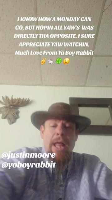 @Rabbit800329