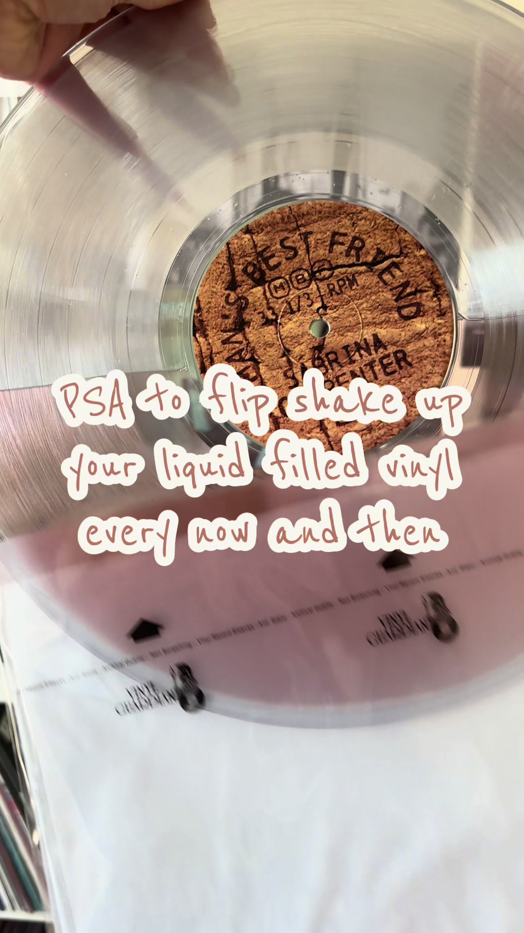 @allys_vinylhub🪩