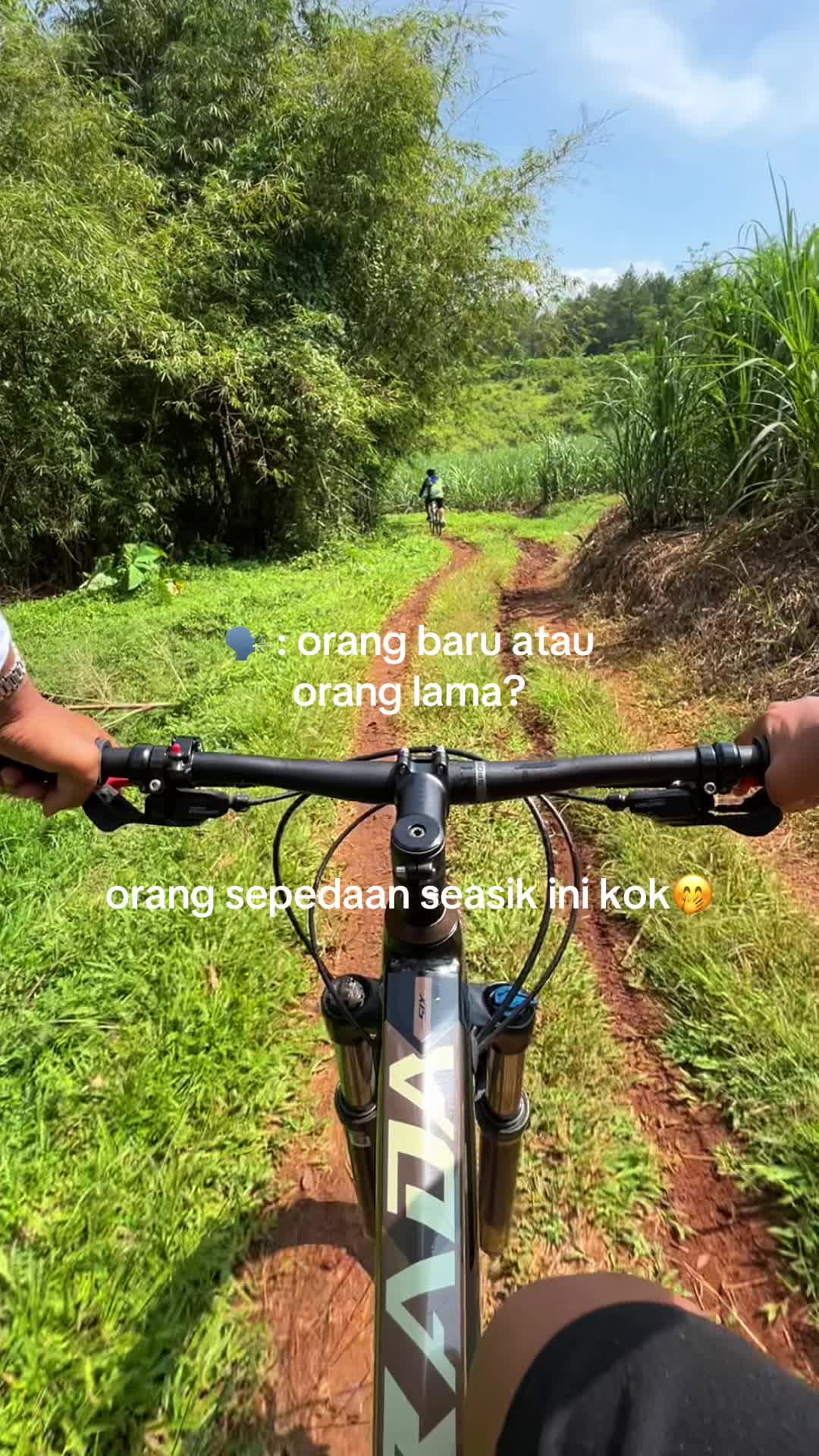 @soto sapiii