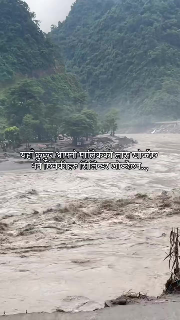 @दाह्री ब्रो Pradeep😢