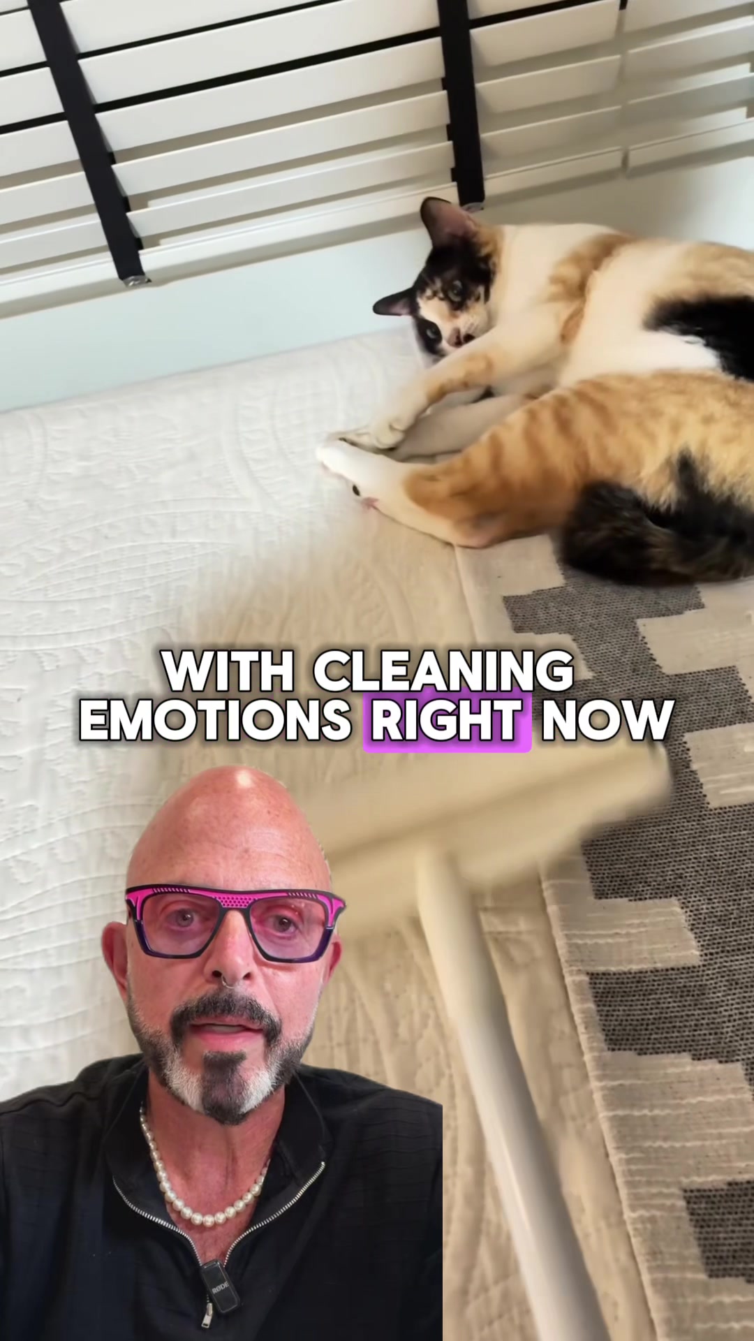 @Jackson Galaxy