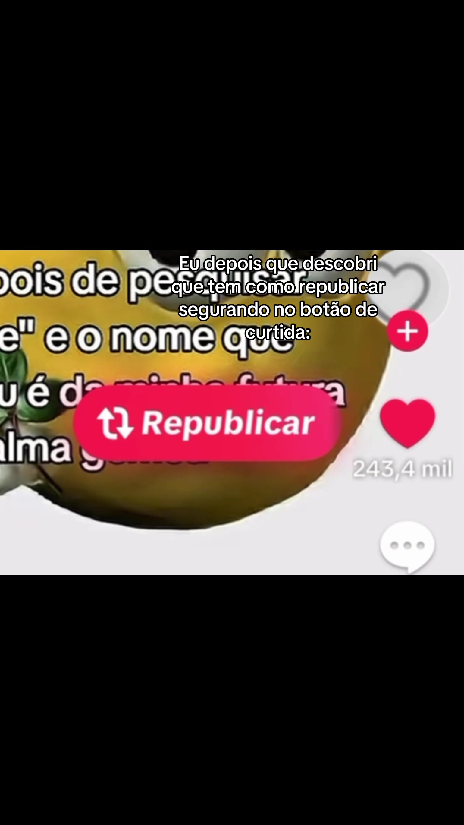 @gustavo marques