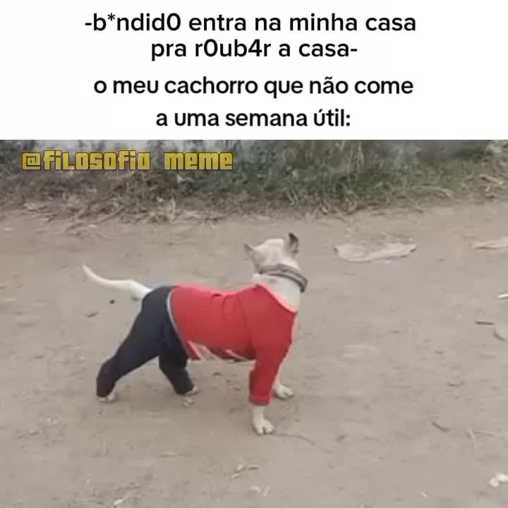 @filosofia.meme