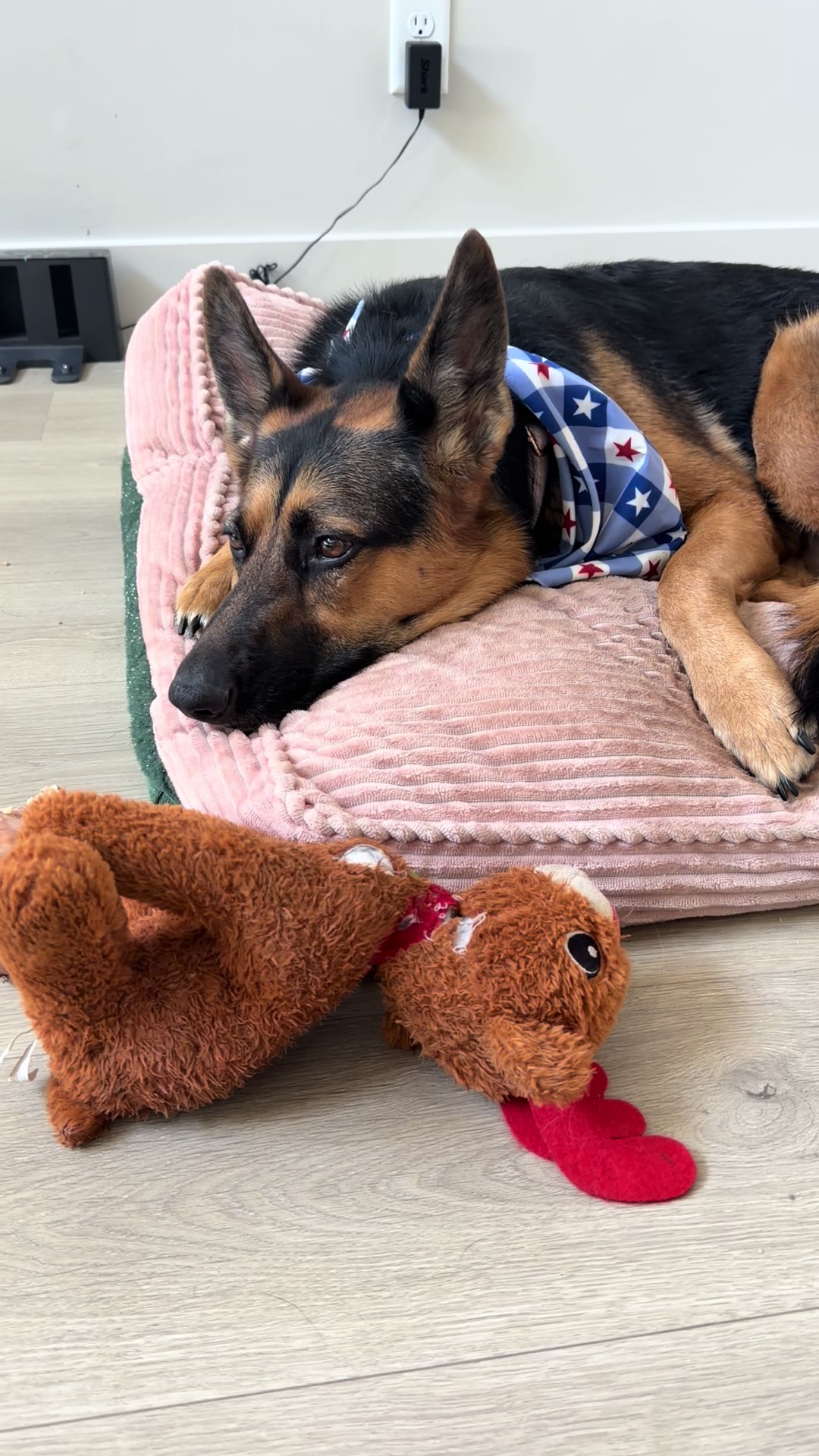 @Rory The Not-Working GSD