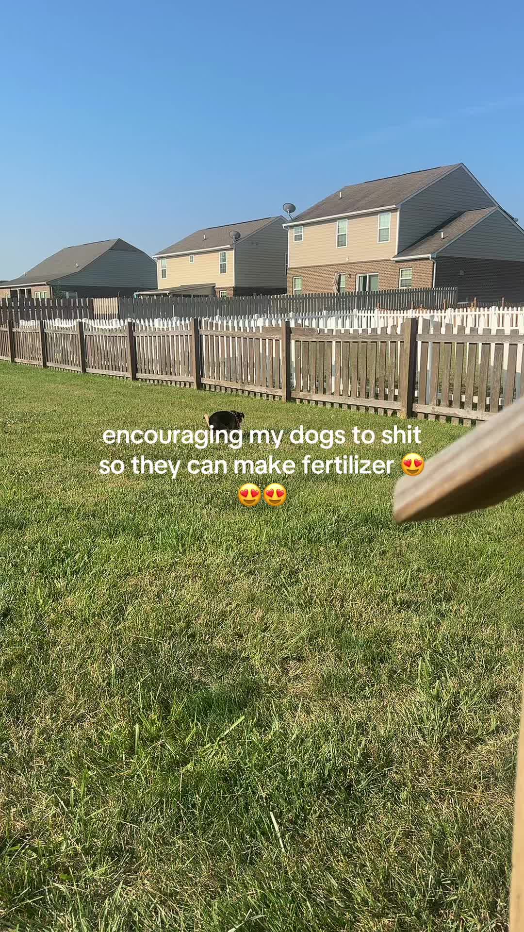 @KeKe 😝😝