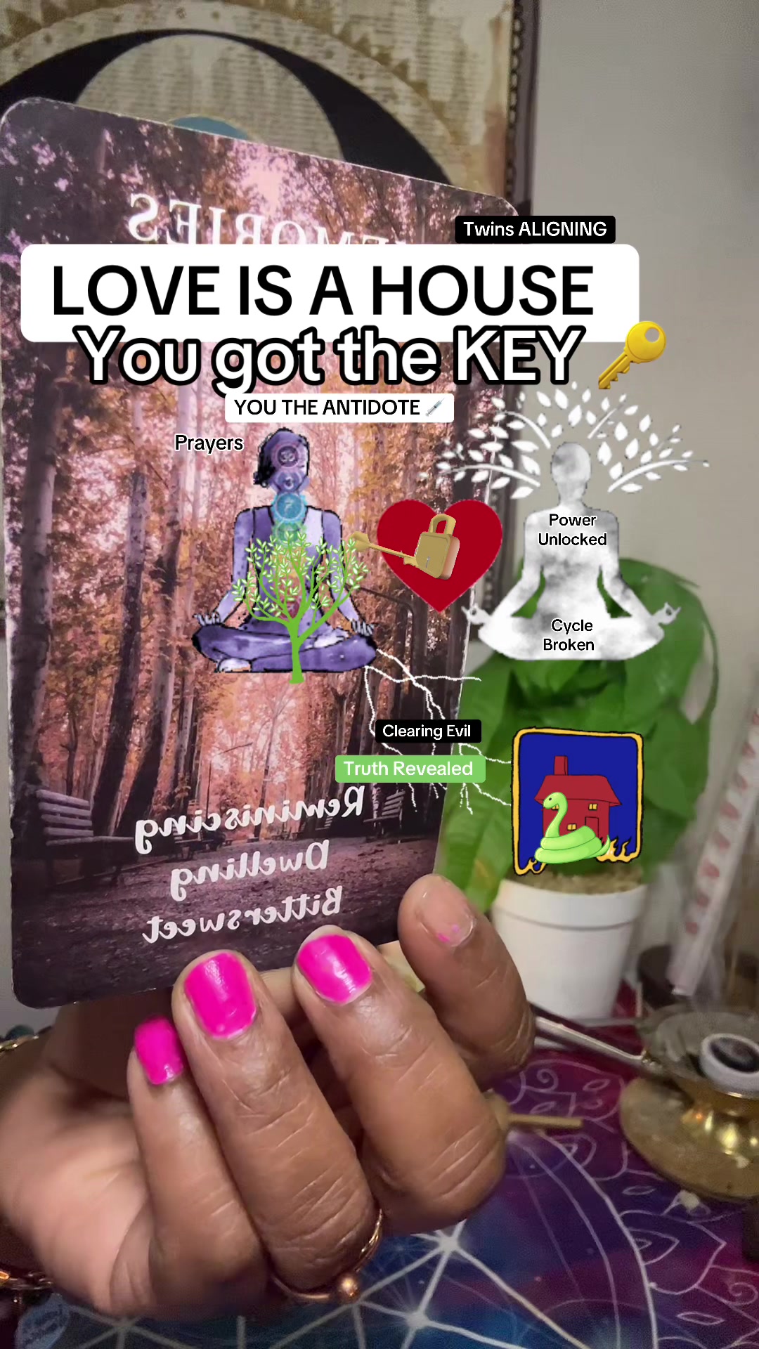 @TIKTOK TAROT