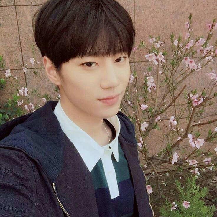 @yeeri55