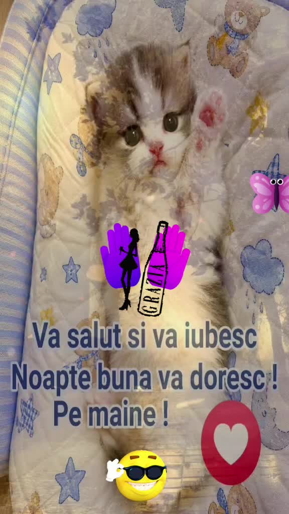 @Mădă Mădălina
