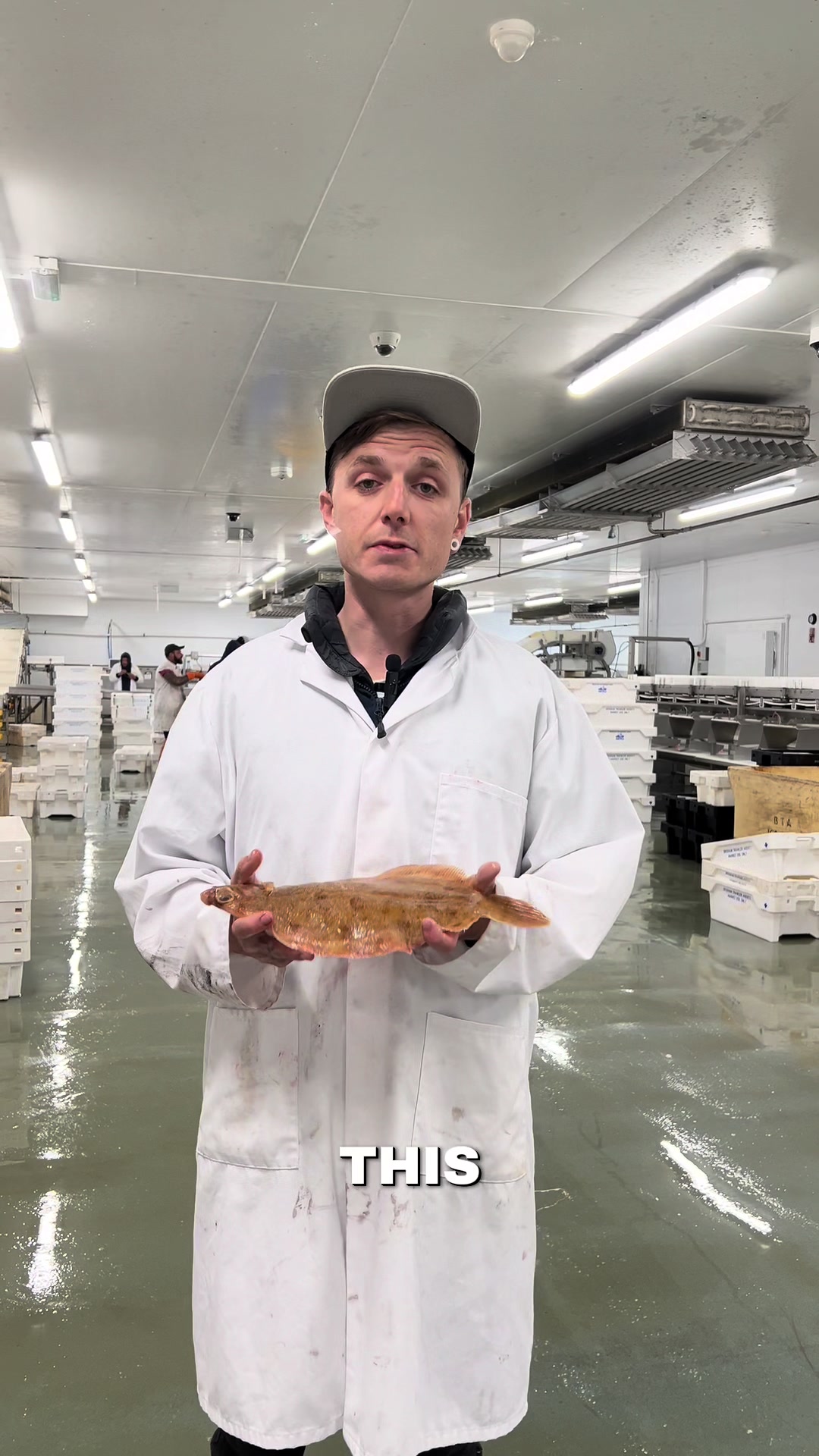 @Direct Seafoods London