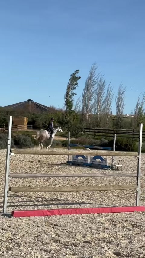 @Noemy🇳🇴🇳🇴