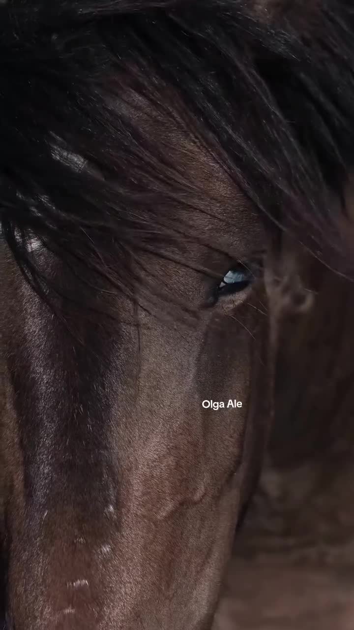 @Olga Ale