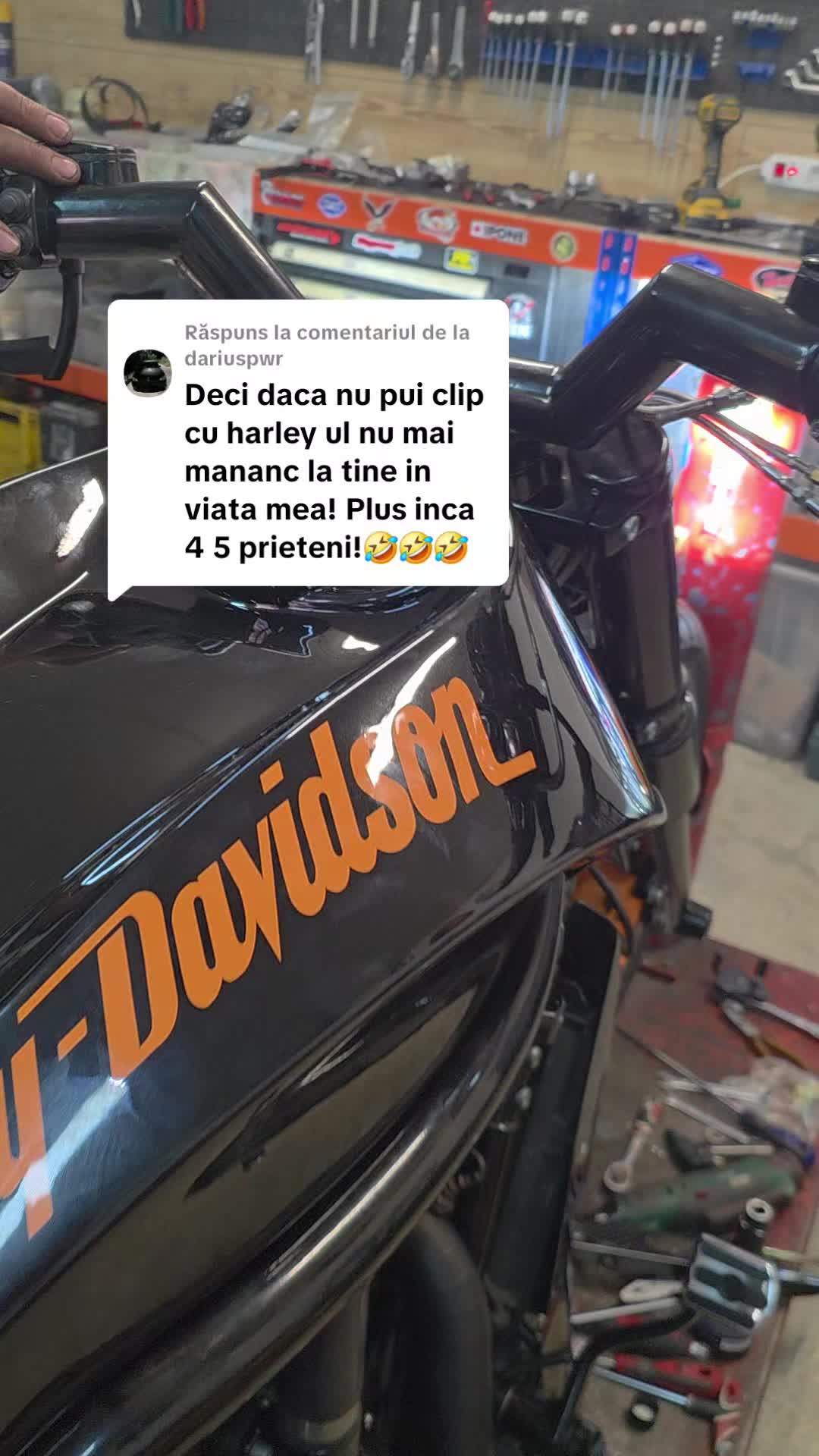 @Nicu Balș ®️