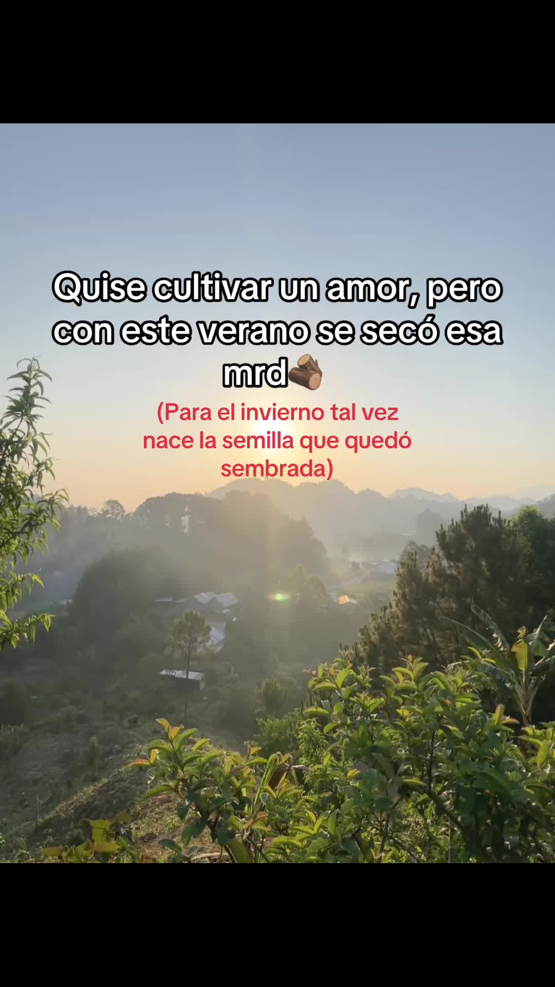 @David•Jc✍️🦥