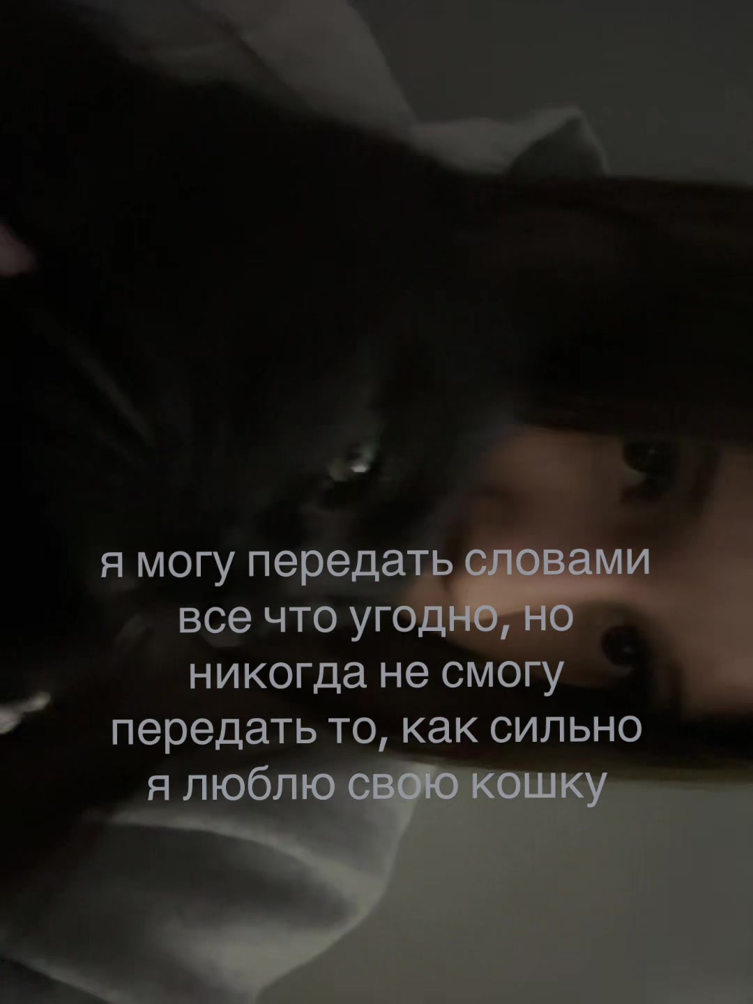 @shnyriiiks