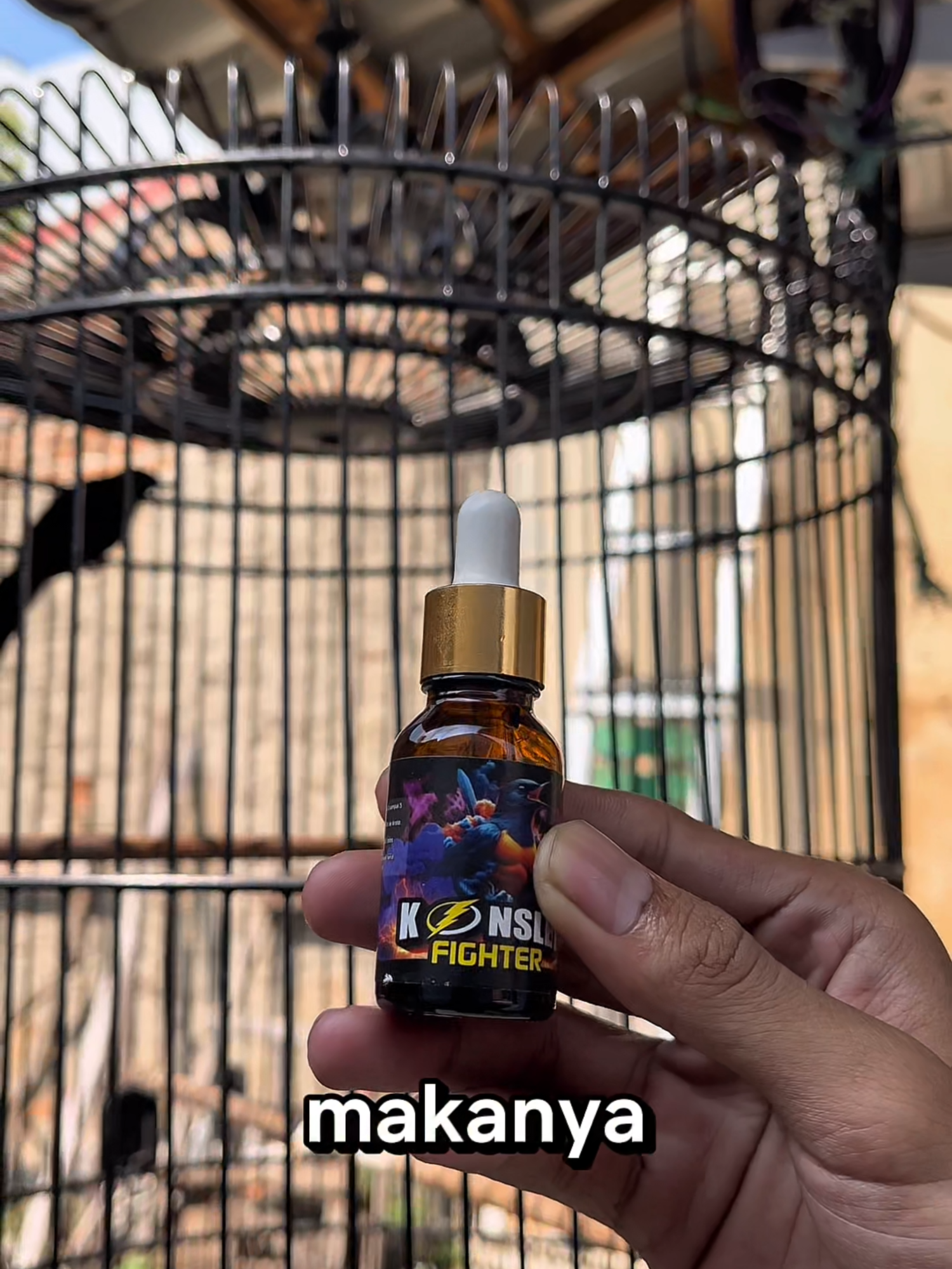 @Lapak Burung Indonesia