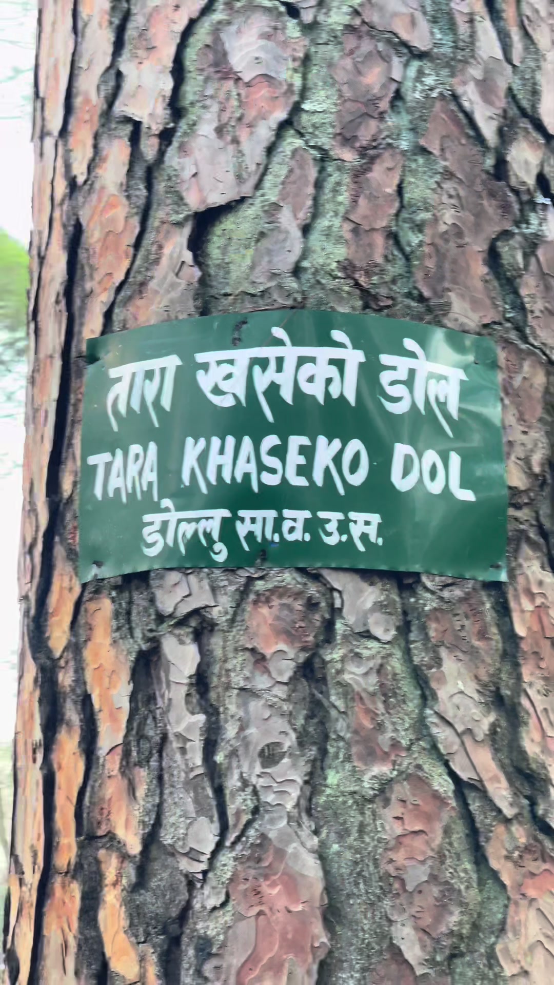@रेजु कुलुङ राई 🤞♥️