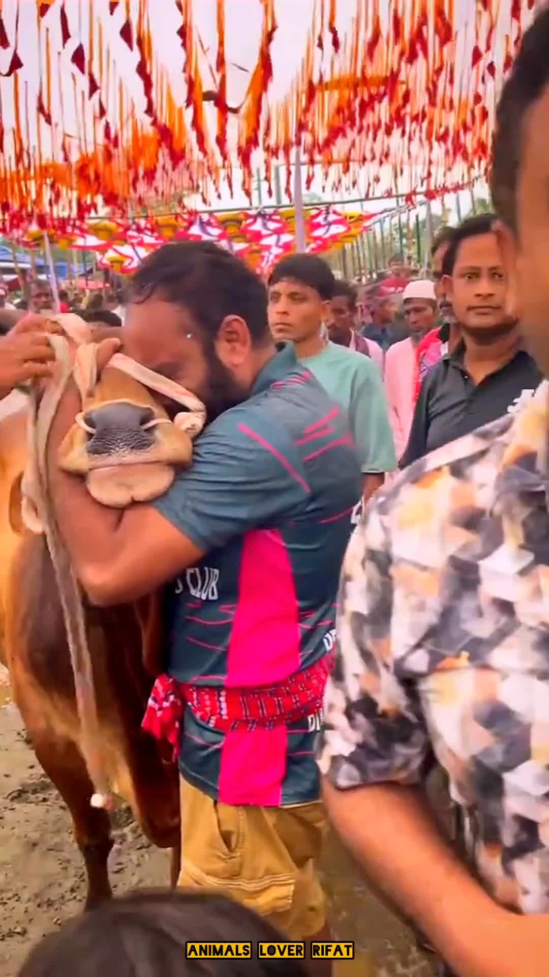 @Animals Lover Rifat