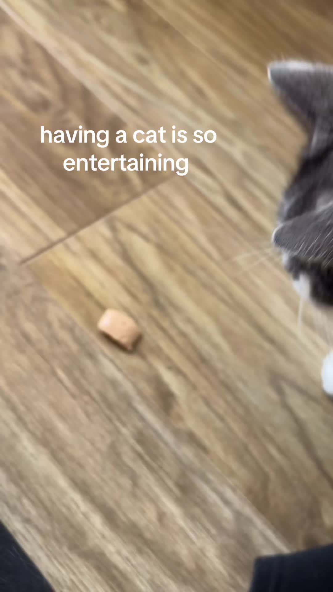@zara