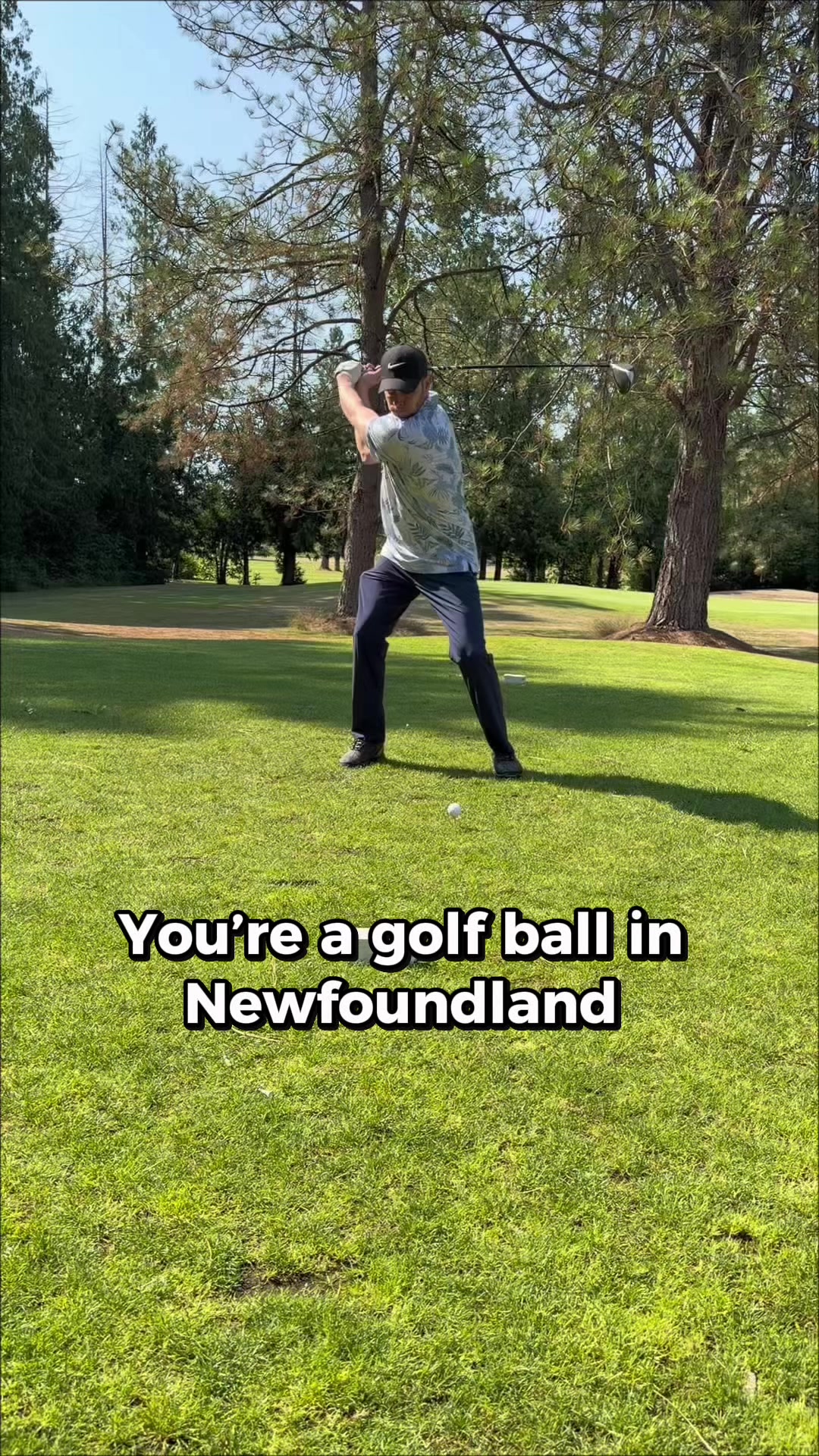 @scottieshow