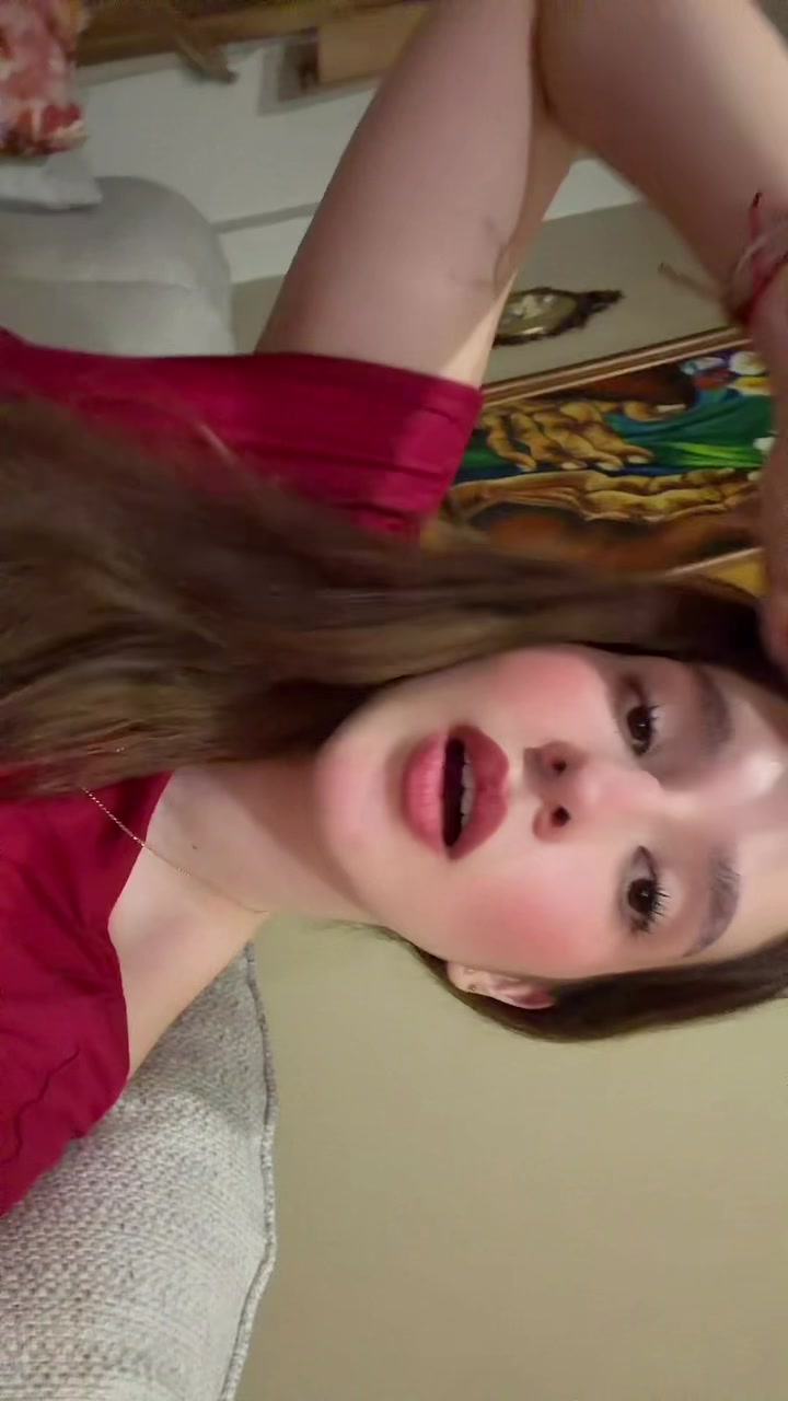 @gatitafiera