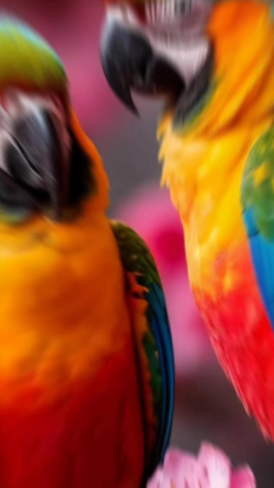@🎧🕊️🅐︎🅛︎🅞︎🅝︎🅔︎🕊️🎧