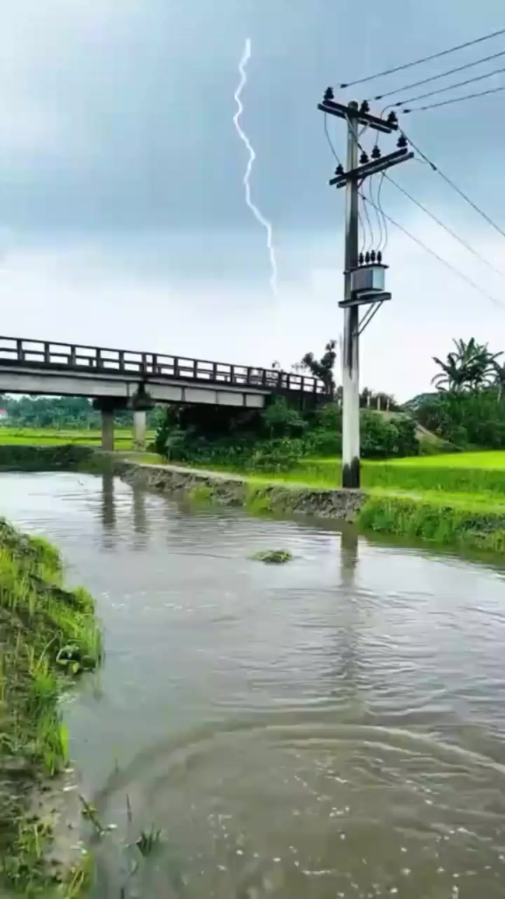 @艾米·杰伊