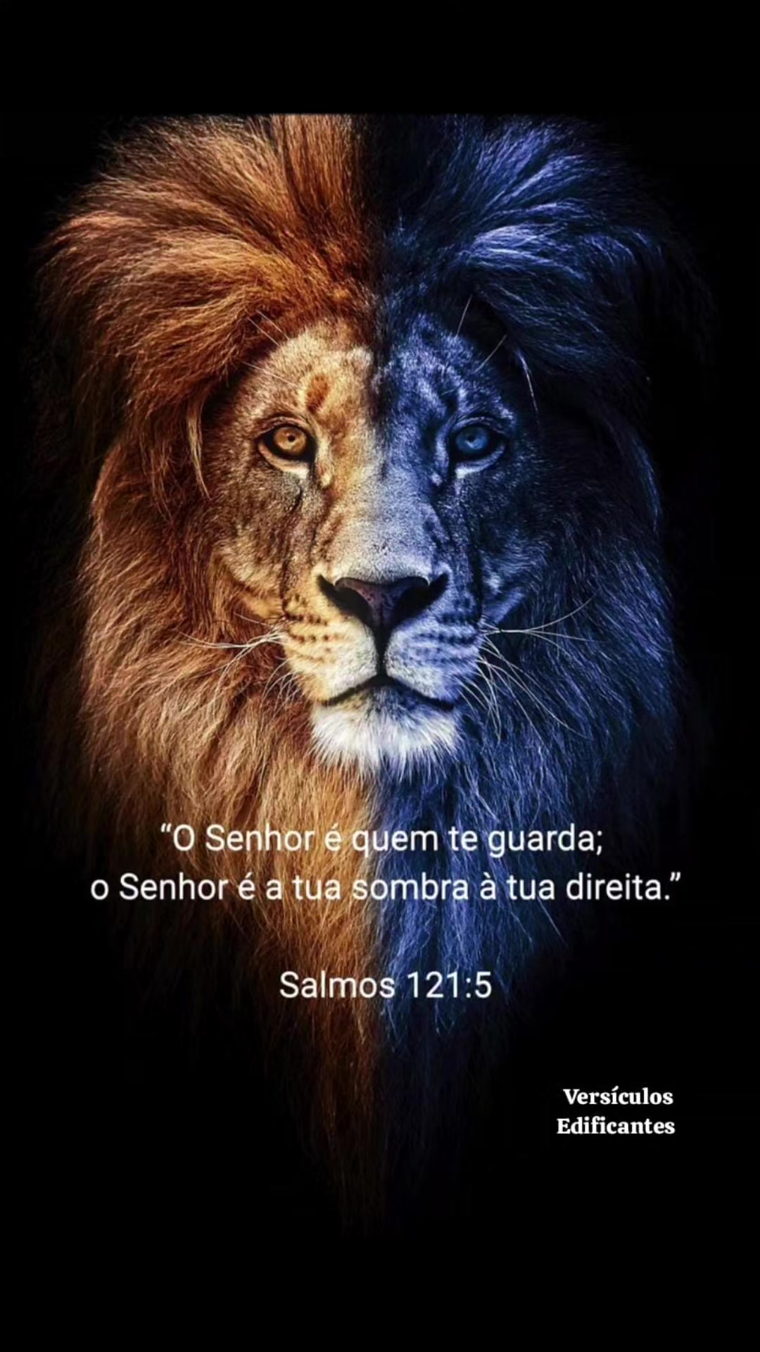 @Leozanza ❤️💜