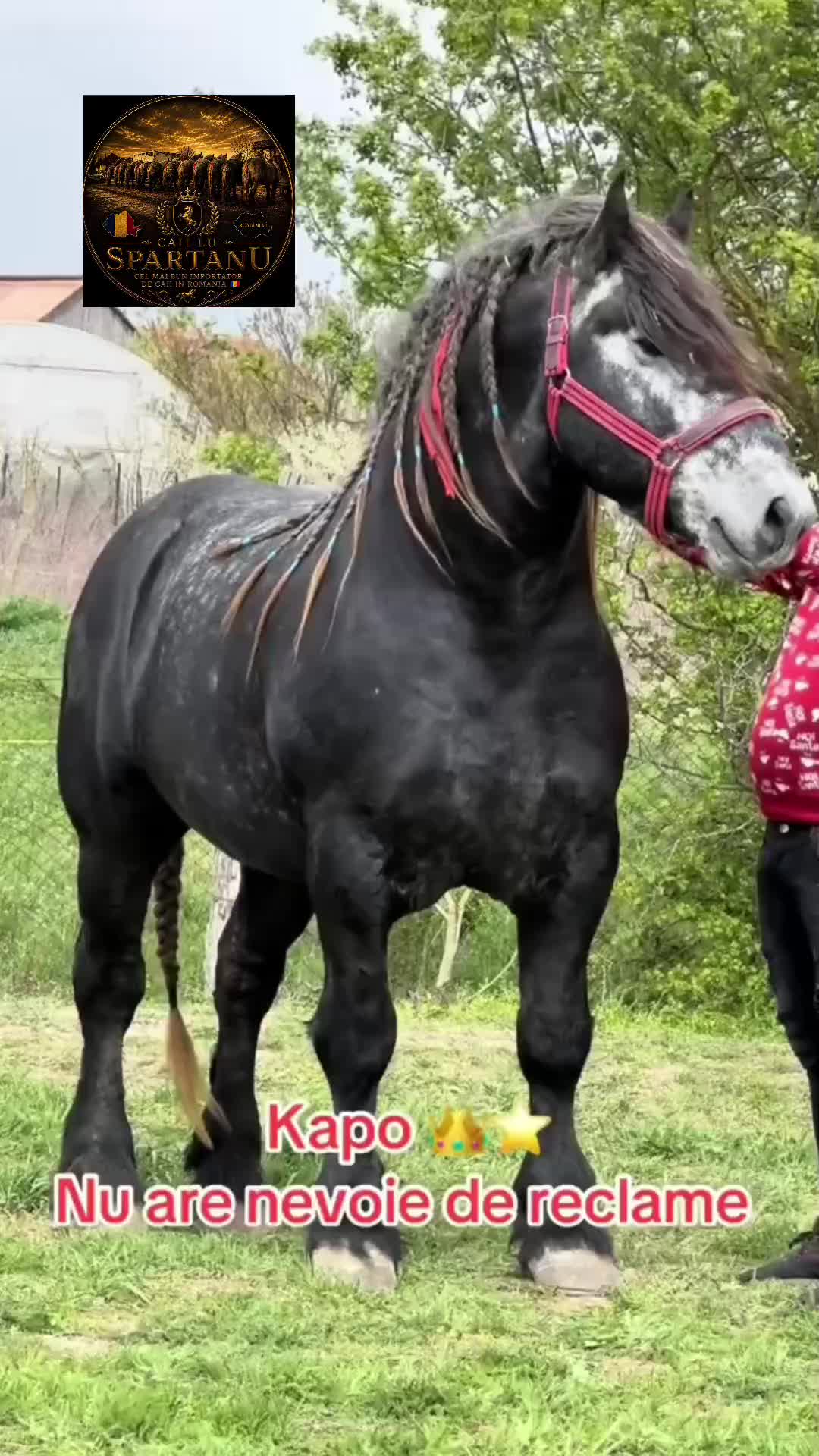 @🐴spartanu80🐴