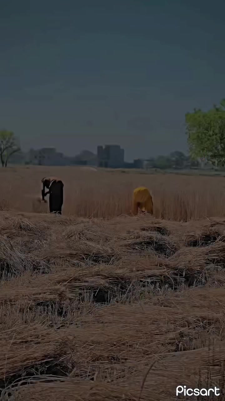 @ذیشان راجپوت ☠️🥷🏻