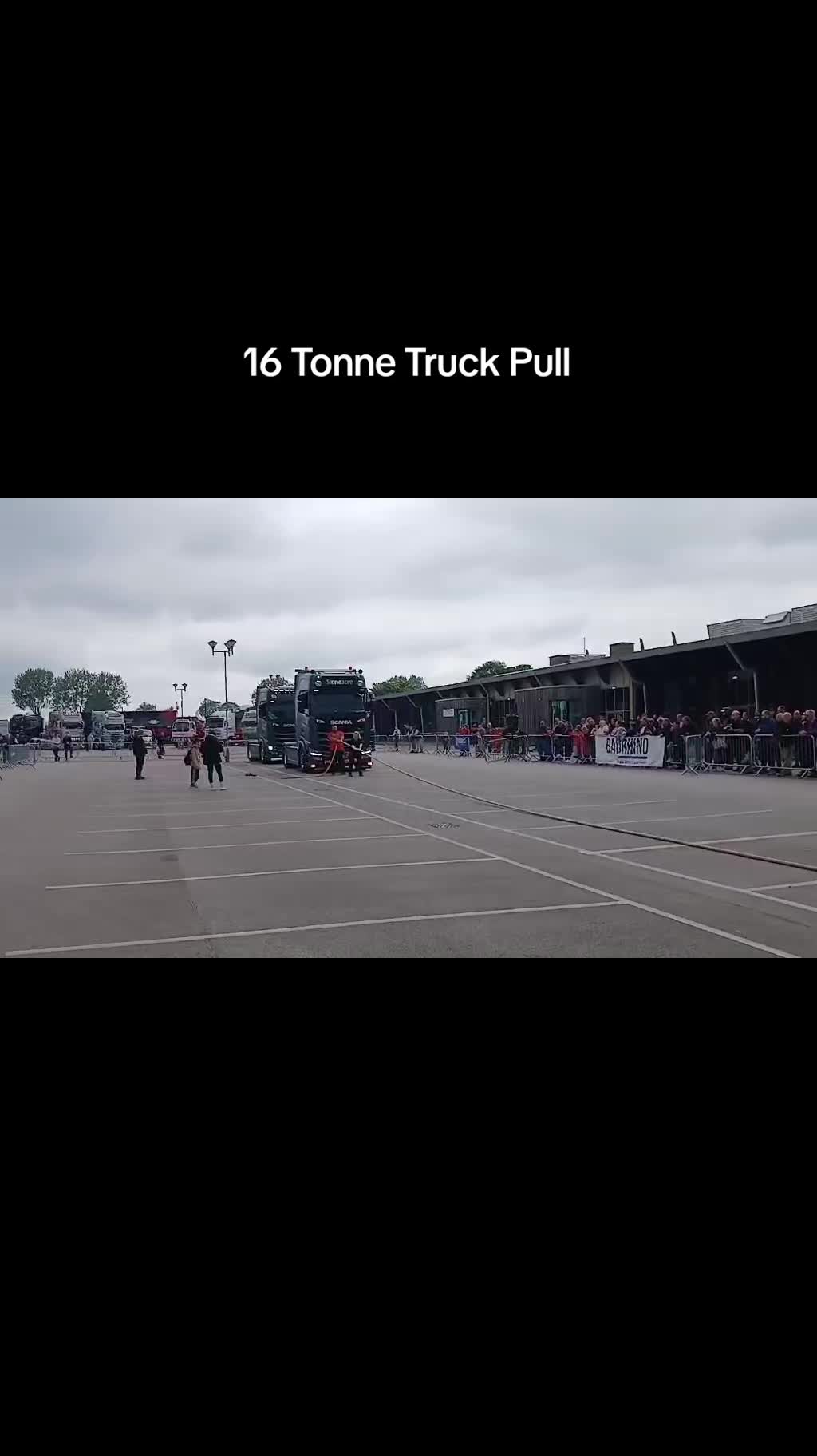 @thee_megaladon_hall