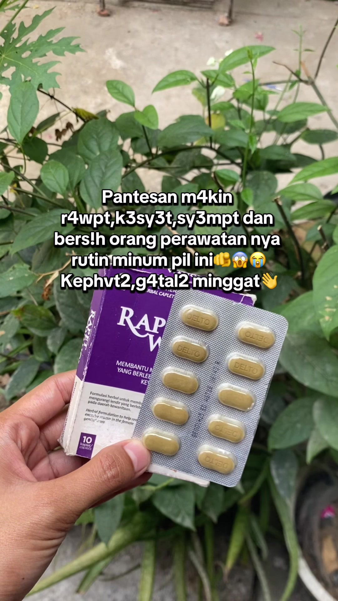 @fifi