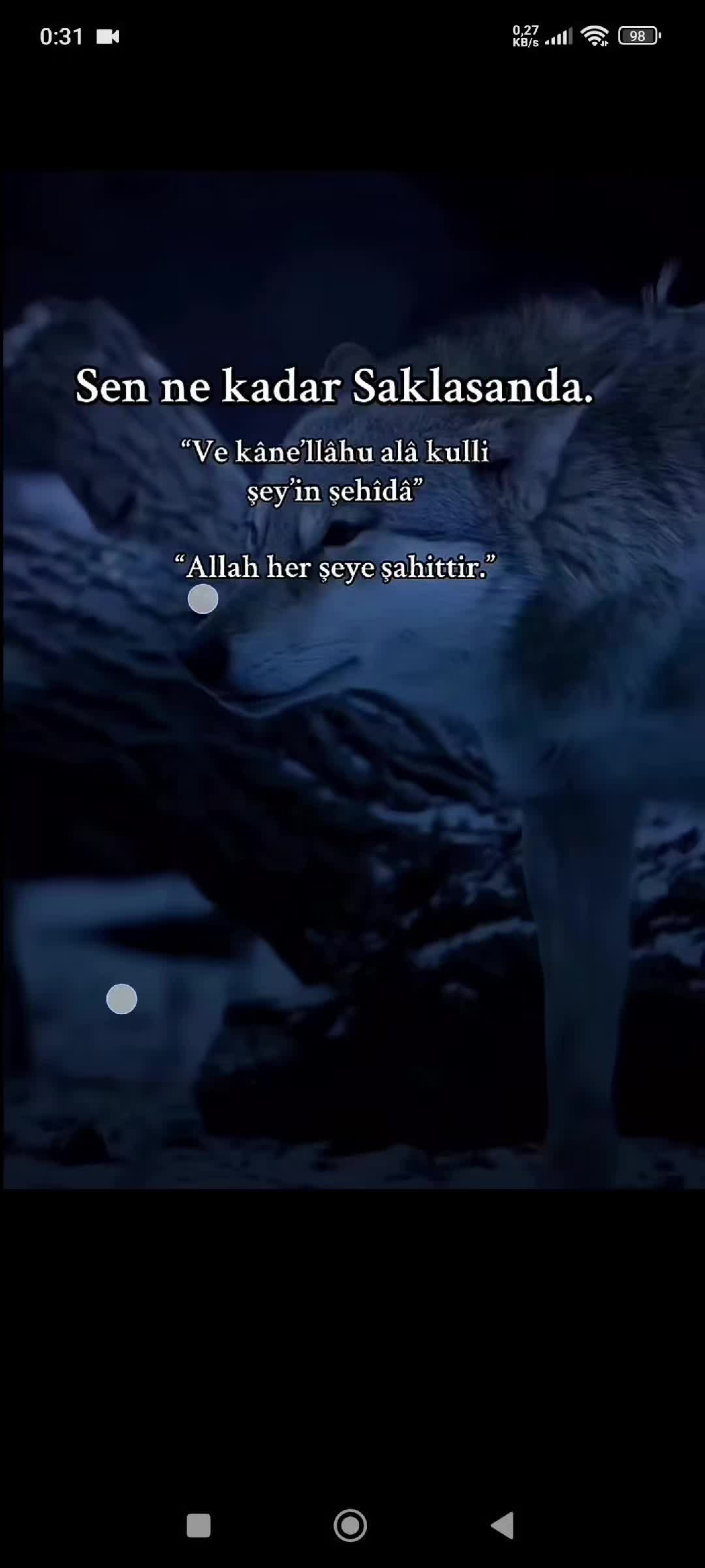 @WOLFMENTÜRK