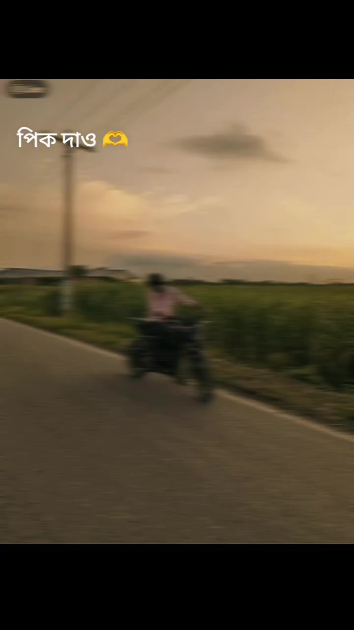 @mahi