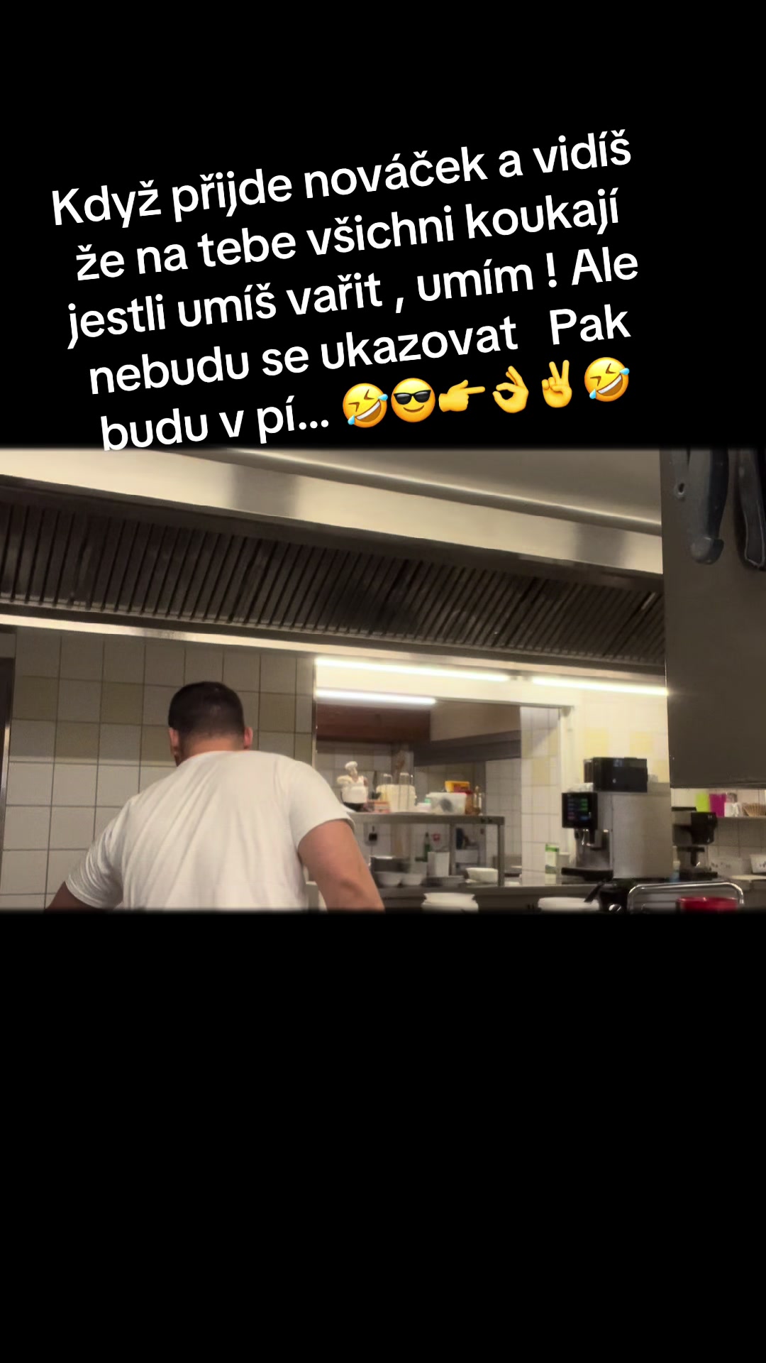 @Vva&scaron;ek