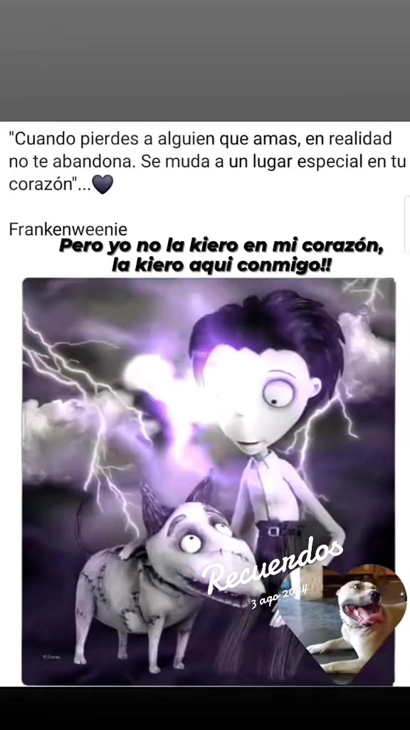 @JARRITO