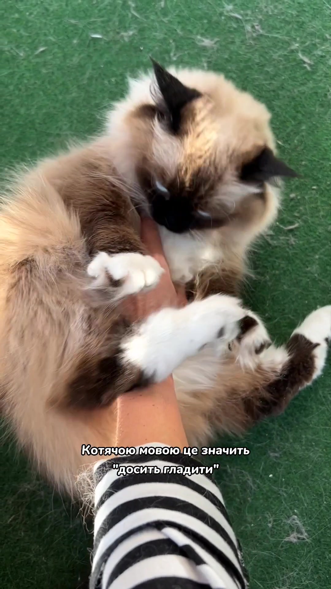@Місс КІСЯ