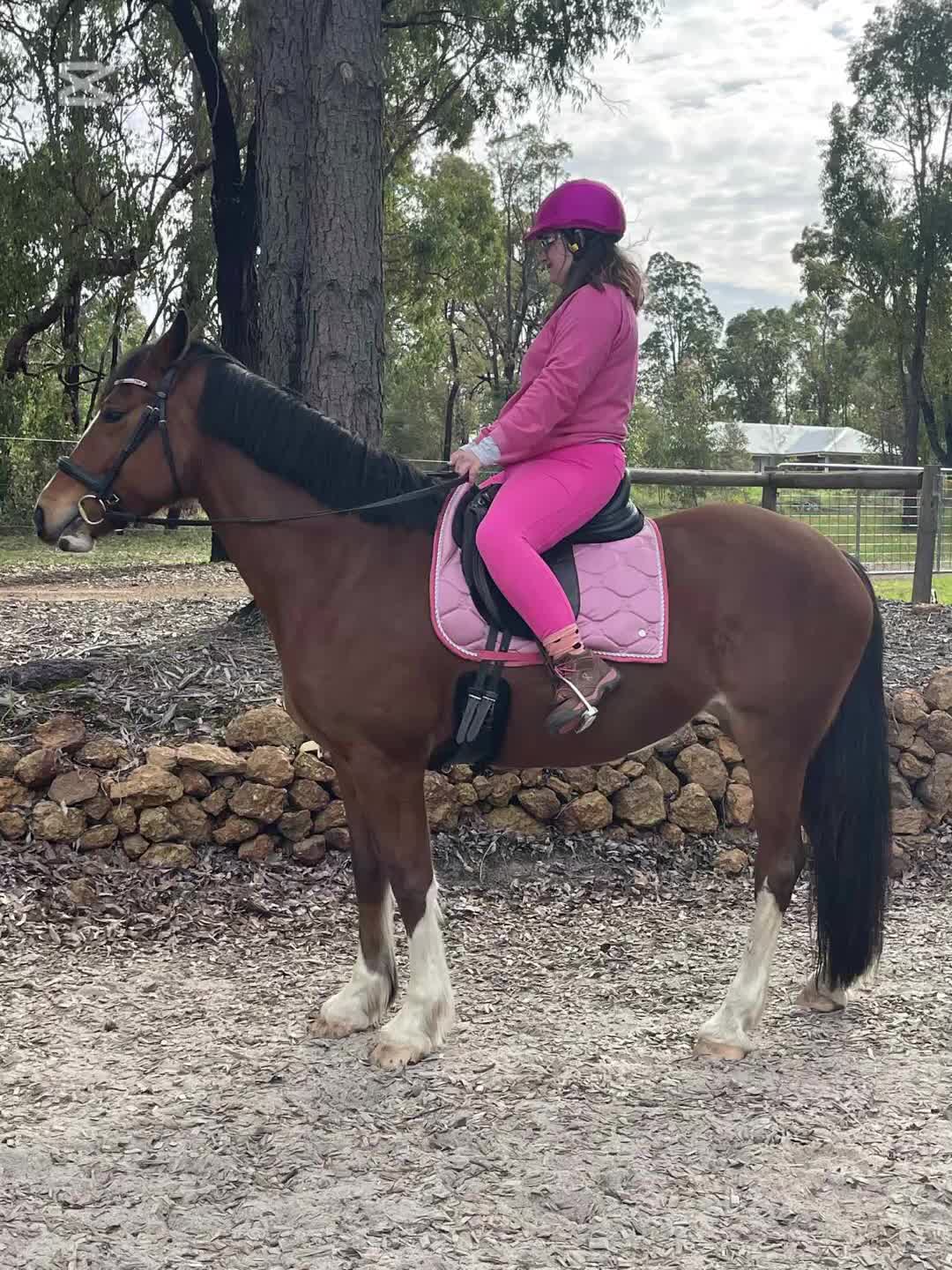 @sian_charlies_horsey_